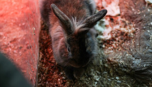 ����������� ������ ����� ���� � ����� (������������)