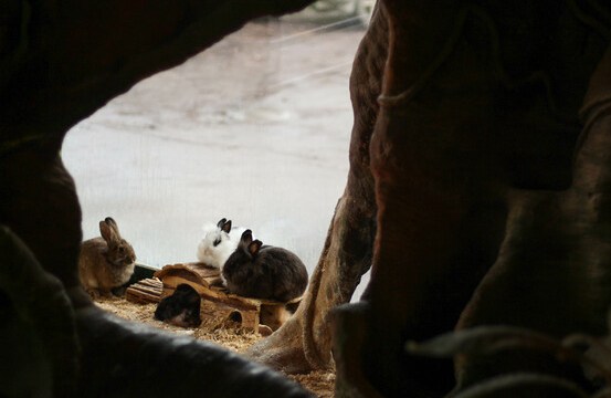 ����������� ������ ����� ���� � ����� (������������)