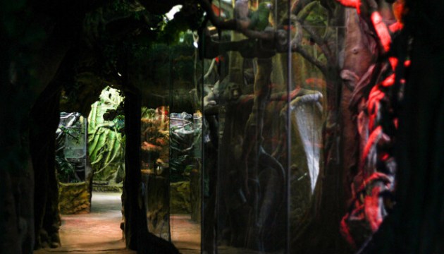 ����������� ������ ����� ���� � ����� (������������)