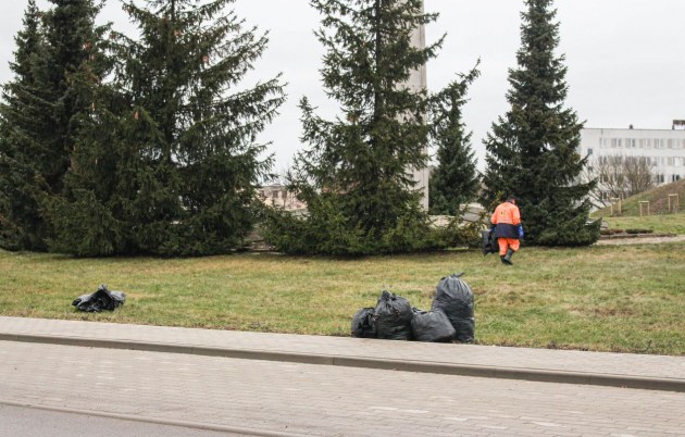 Возвращение: из новогодней сказки – в будни (ФОТОРЕПОРТАЖ)