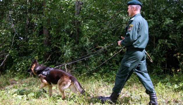 ��� ������������ ������� ������ 7,4 ��������?