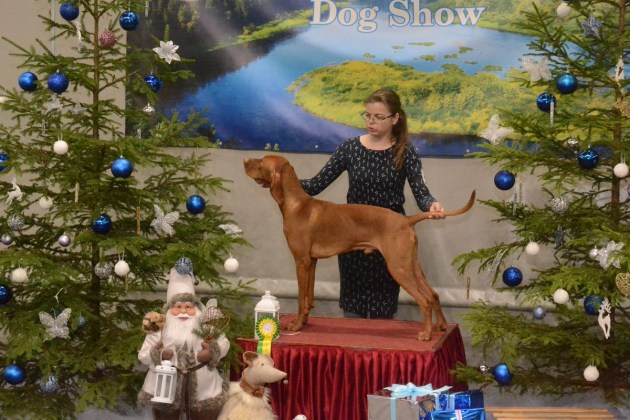 ������������ �������� ����� � ����������� (������������)