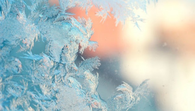 �� ���� ������ ����������