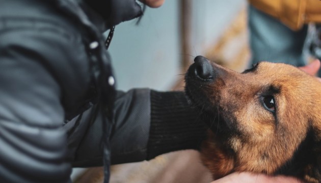 ������ ����� � �����. ������� �� � �� ��� ���������?�