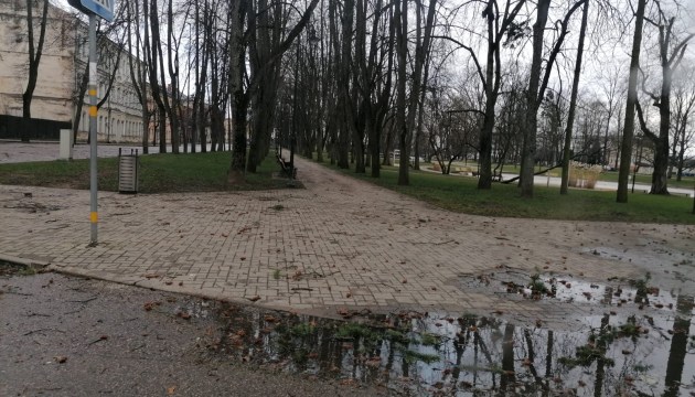 После ночного урагана (ФОТО)