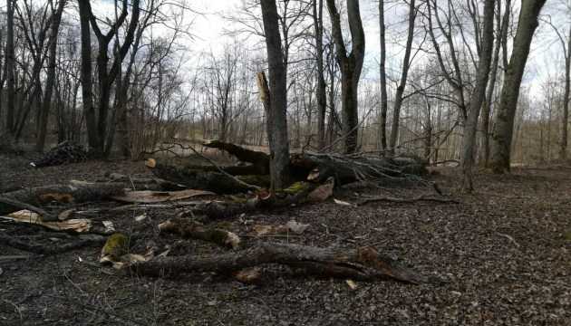 ���������� ���� ������ ������� �������