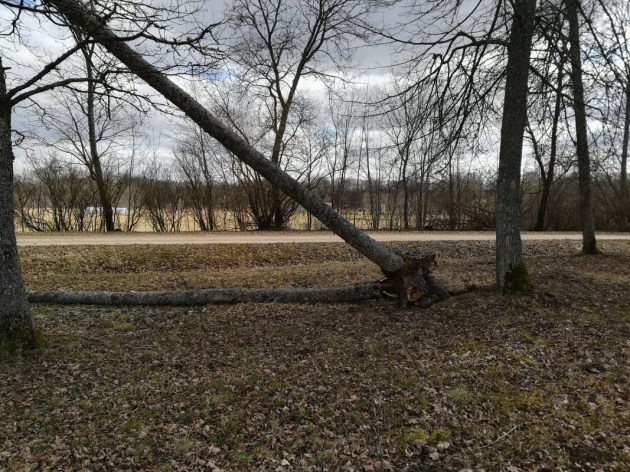 ���������� ���� ������ ������� �������