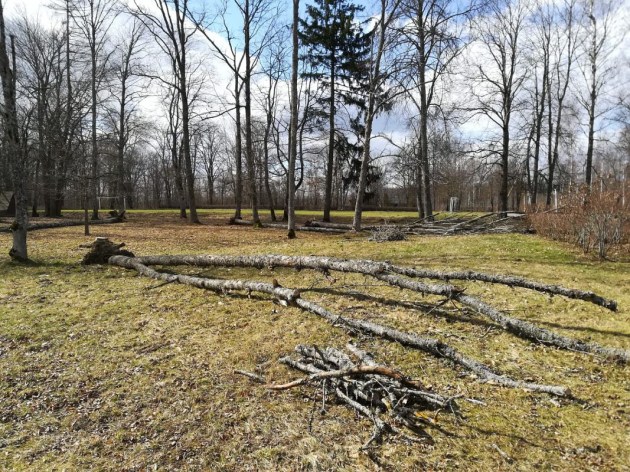 ���������� ���� ������ ������� �������