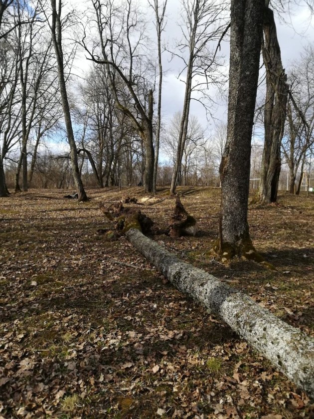 ���������� ���� ������ ������� �������