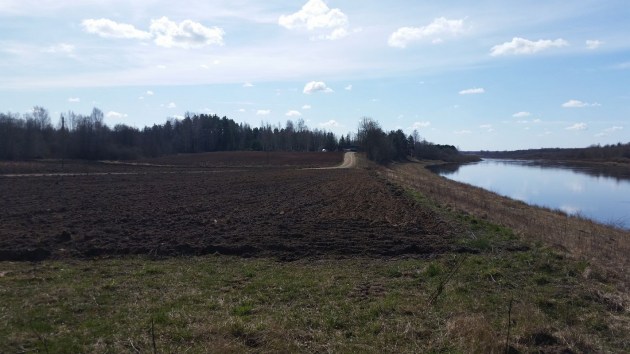Река, небо, качели…