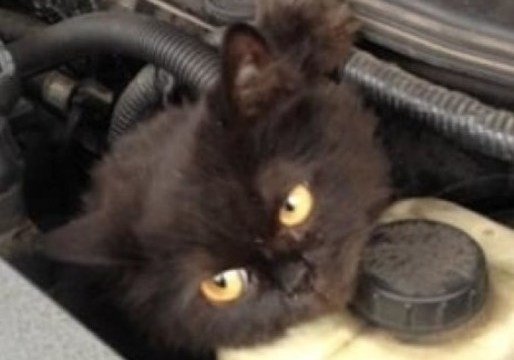 �������� �������� �� ������ ����