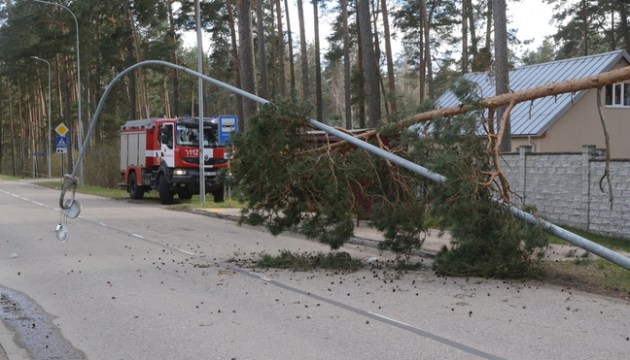 � ������ ������ ������� �����. ���������� ������ �� ��������