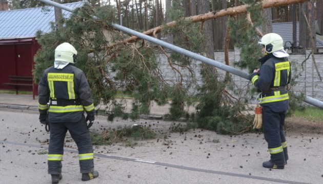 � ������ ������ ������� �����. ���������� ������ �� ��������