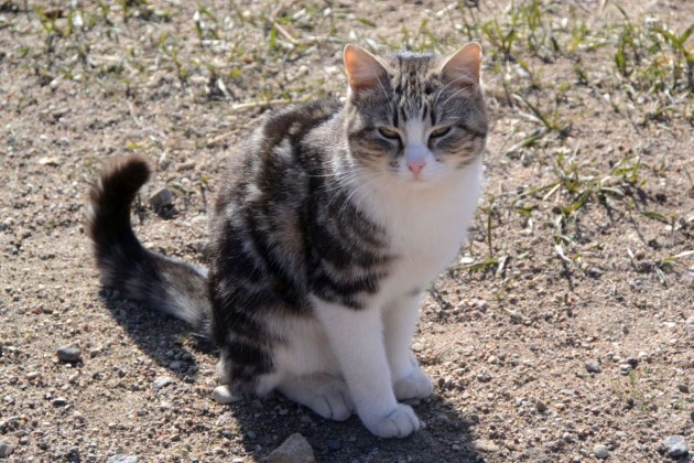 ����� � ������������ ����������� � ������ ��