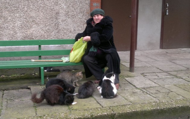 ����� � ������������ ����������� � ������ ��