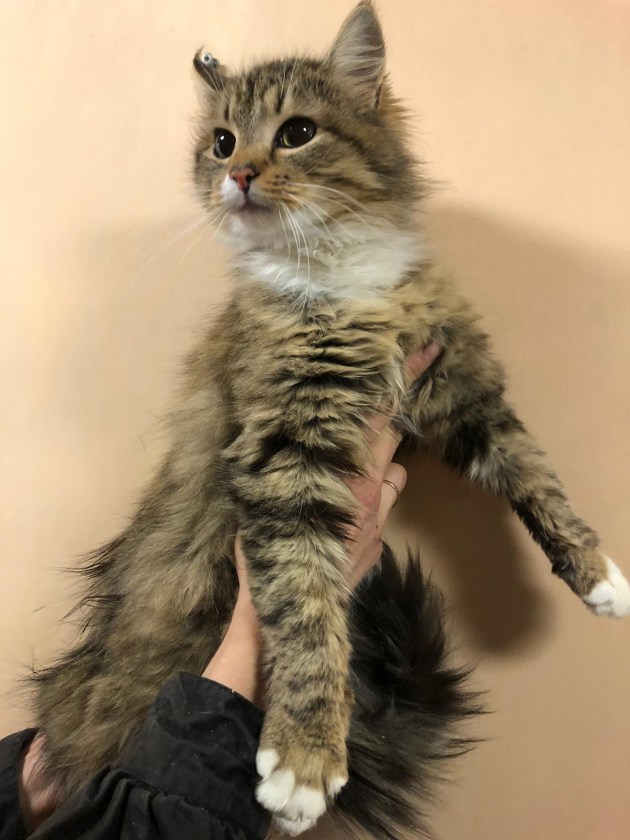 ����� � ������������ ����������� � ������ ��