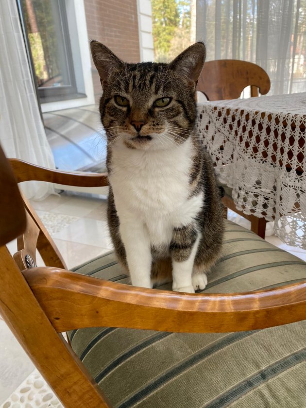 ����� � ������������ ����������� � ������ ��