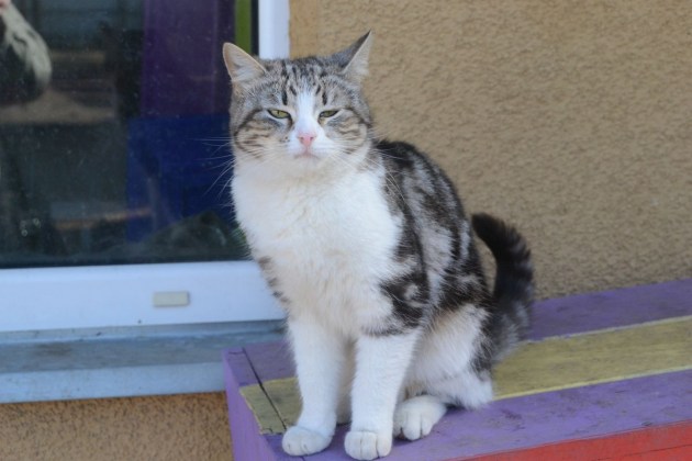 ����� � ������������ ����������� � ������ ��