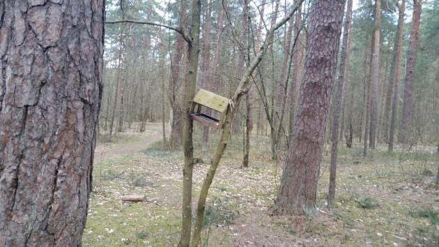 Пасхальное утро началось снегом