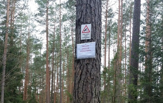 Да это и не новости…