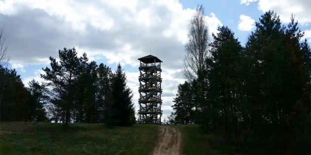 С «вышкиного» этажа