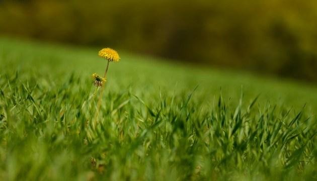 � ��������� ��� ����� �����, �������� �����