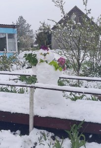 �������� ����� ������ �����-����� �������ꅻ: ������� �� �������!