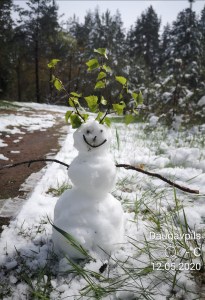 �������� ����� ������ �����-����� �������ꅻ: ������� �� �������!