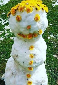 �������� ����� ������ �����-����� �������ꅻ: ������� �� �������!