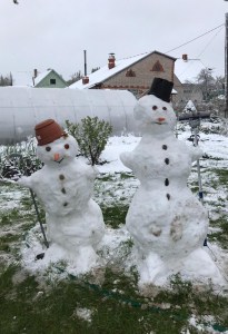 �������� ����� ������ �����-����� �������ꅻ: ������� �� �������!