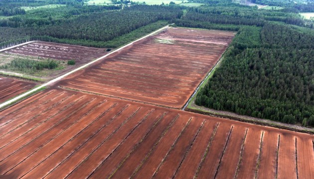 ����������� �������� ������� ������ �������� �������� ���� �������