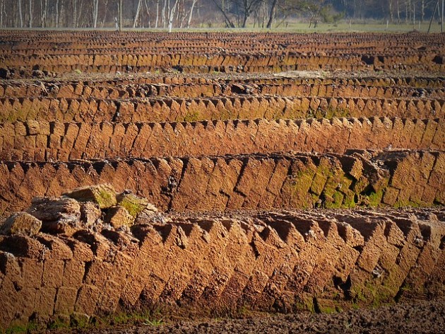 ����������� �������� ������� ������ �������� �������� ���� �������