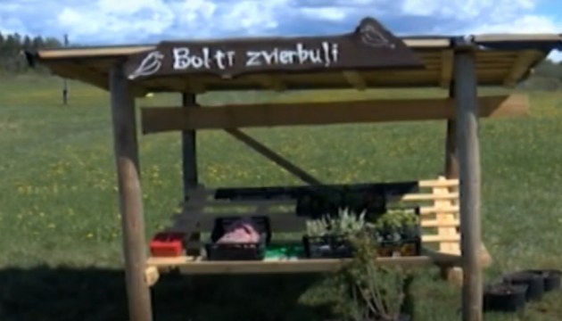 C���� ����������������: ����������� ����