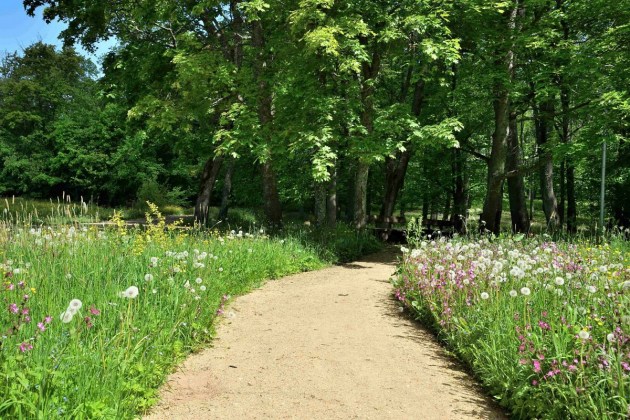 ������������ ����������� �����