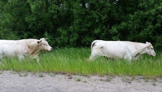 ������ �� ����� �������