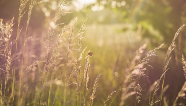 ���������: �� ������� ������ - ������� ��������������!