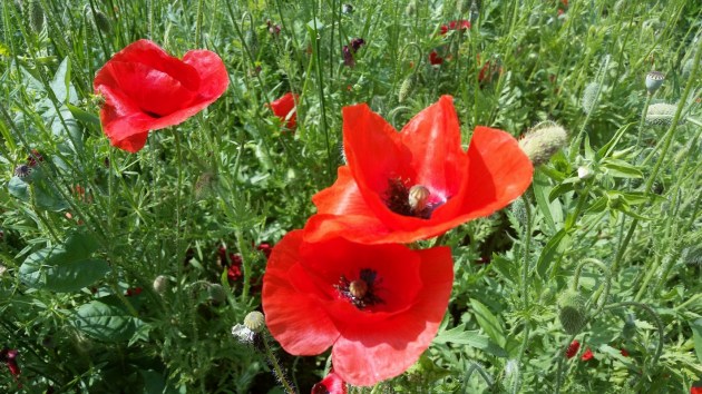 �����, � ������� ����� ������ � ������ ���� (����)