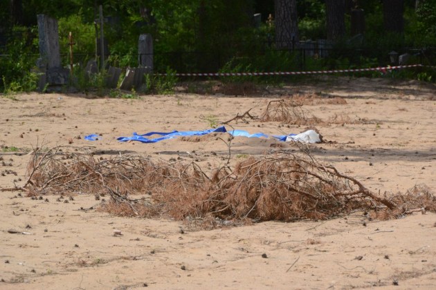 ����������� ��������: �������������� Labiekārtošana-D ����������� ��-�����������