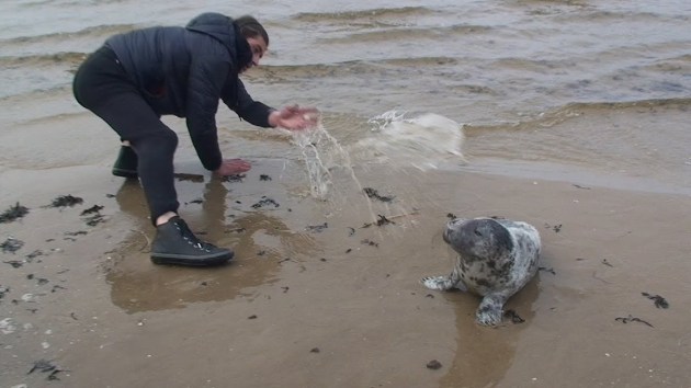 ������: ��� ������� ����� ������