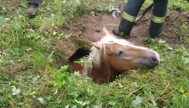 �������� �������� �� ��� ����