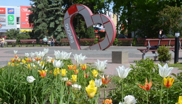 Второй проездной билет, пособие 500 евро и подарок долгожителям