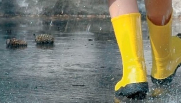 � ����������� ��������� ��������� ������