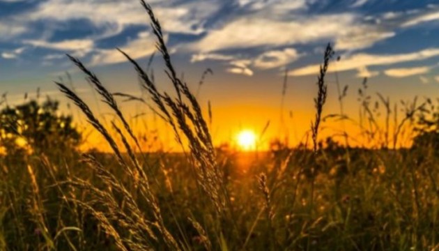 ������ ������� ���� ������