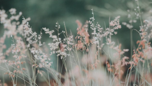 � �������� ������ ������ ����������