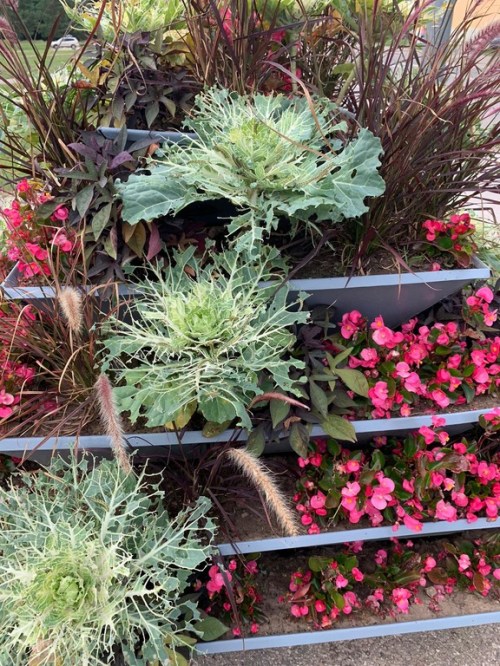 ��������: ��������� ������ � ����������� ������