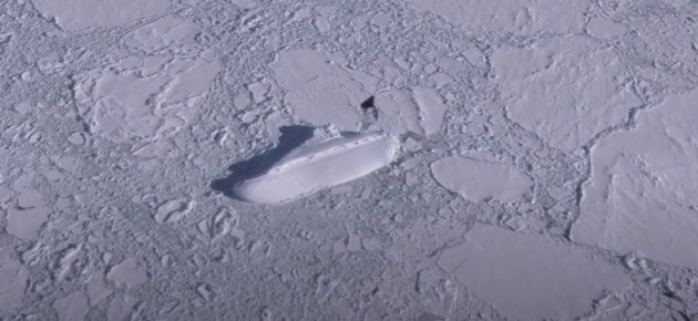 ����������: ������� ��� ��������