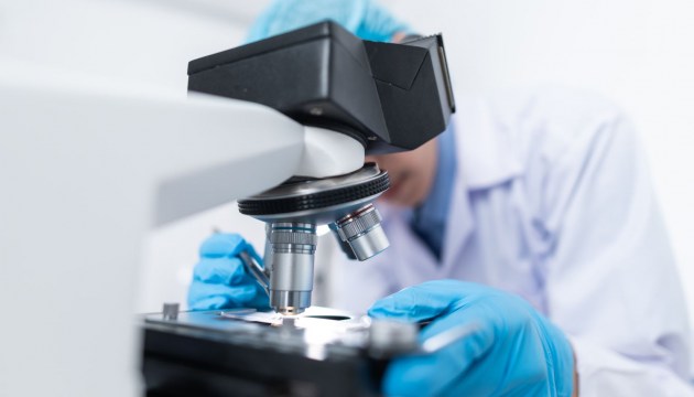 � ������� �������� ������ ����� ������� Covid-19