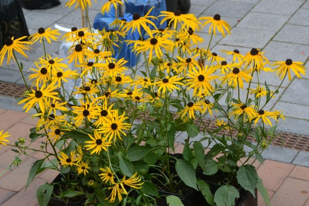 ��������� ������� �� ����� �����. ��� ������! (����)