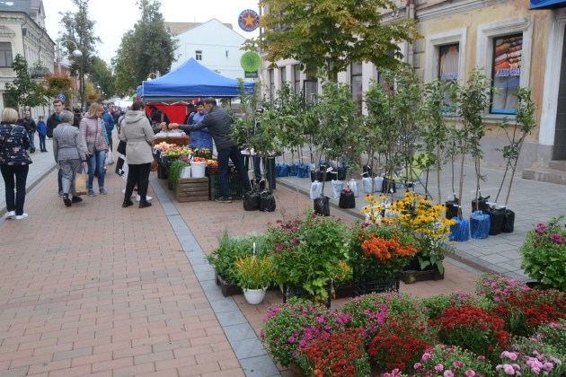 ��������� ������� �� ����� �����. ��� ������! (����)