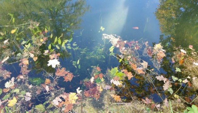 �������� � ���������� �����